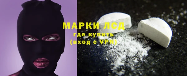 гидра Алексеевка