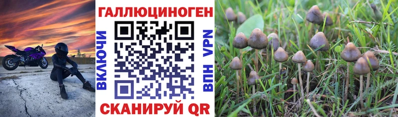 Галлюциногенные грибы Magic Shrooms  наркотики  Большой Камень 