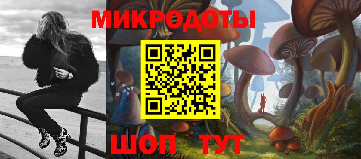 Большой Камень  Галлюциногенные грибы GOLDEN TEACHER  Вход с VPN  Галлюциногенные грибы MAGIC MUSHROOMS 
